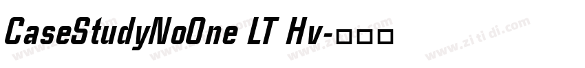 CaseStudyNoOne LT Hv字体转换